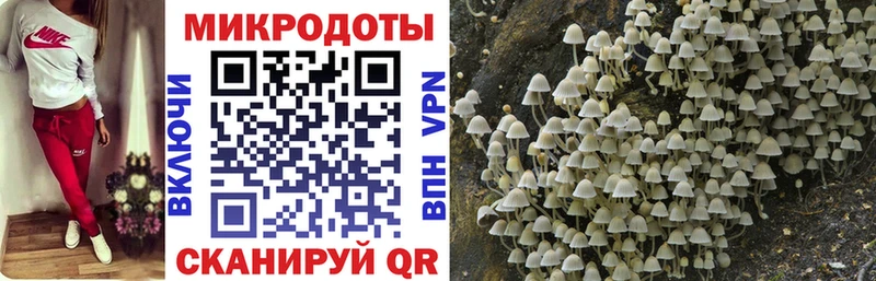 купить закладку  Петушки  Галлюциногенные грибы прущие грибы 